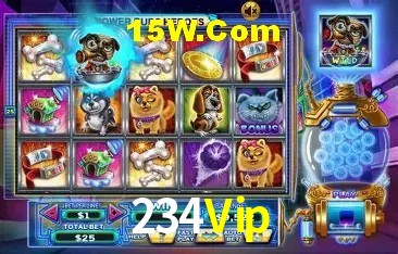 234 Vip Bet App